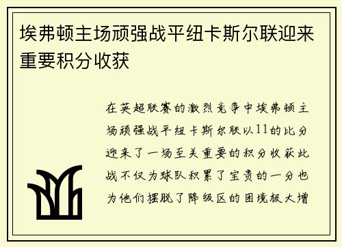 埃弗顿主场顽强战平纽卡斯尔联迎来重要积分收获