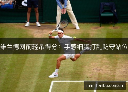 维兰德网前轻吊得分：手感细腻打乱防守站位